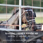 Dogodki/72721104o