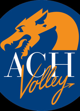 Dogodki/ach_volley_ljubljana1_13