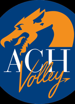Dogodki/ach_volley_ljubljana1_3