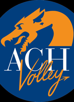 Dogodki/ach_volley_ljubljana1_9