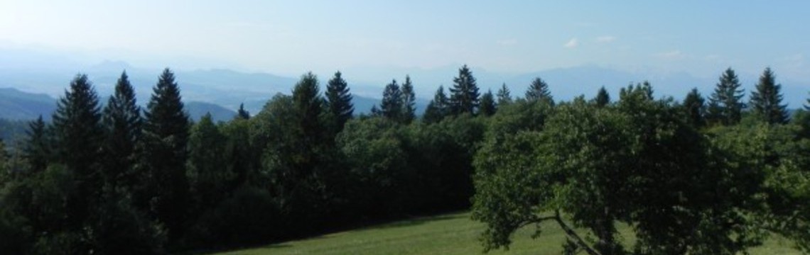 Kolesarska_pot_Jance/9B_1