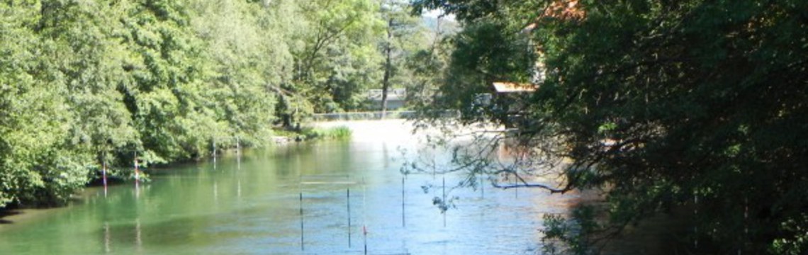 Kolesarska_pot_Most_do_balinisca_Snebrje/C7