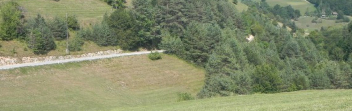 Kolesarska_pot_Zajcja_dobrava/6A