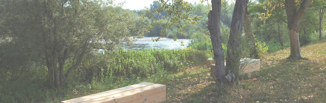 RIC-Sava/